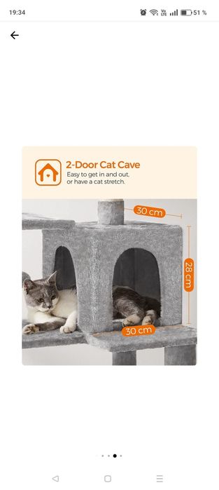 Ansamblu joaca pisici