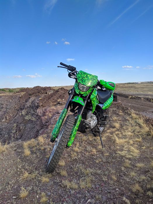 Racer Panther 2019