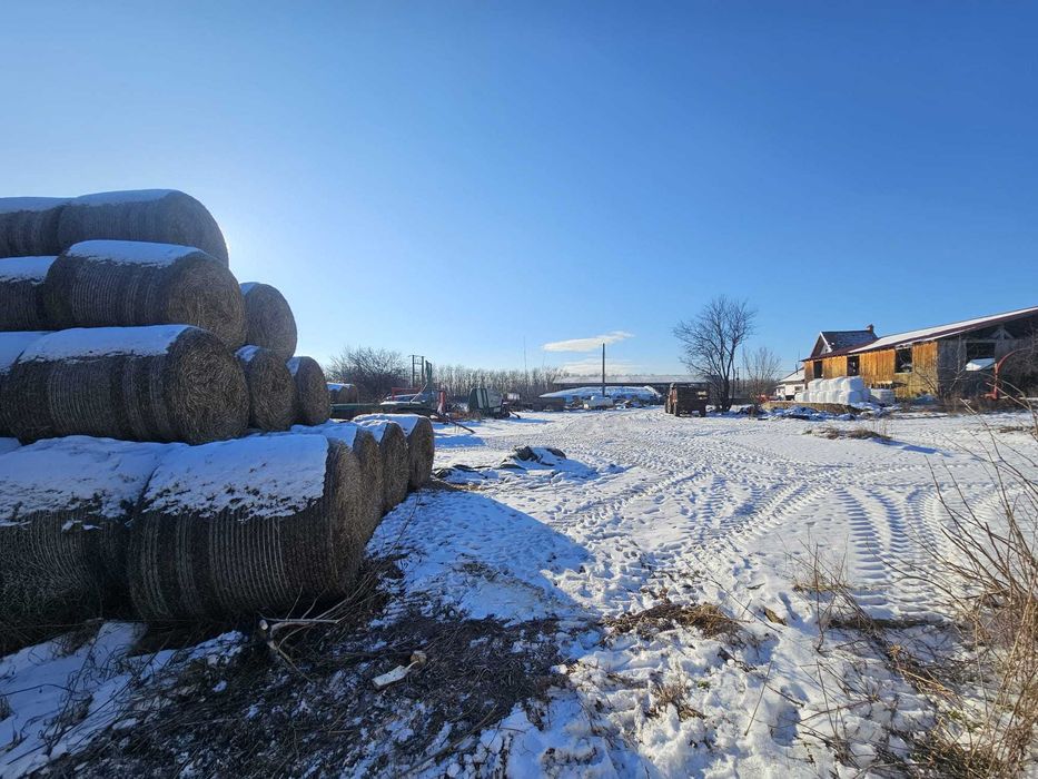 Teren intravilan curti constructii