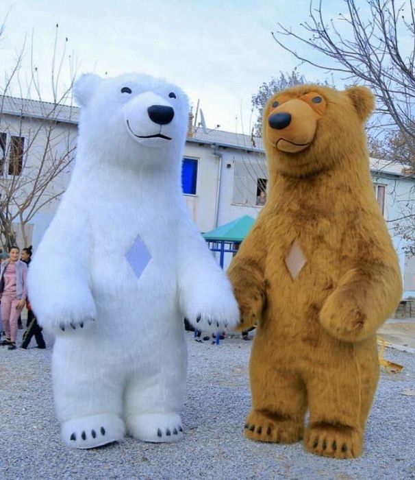 Ayiqlar va ofarmileniya