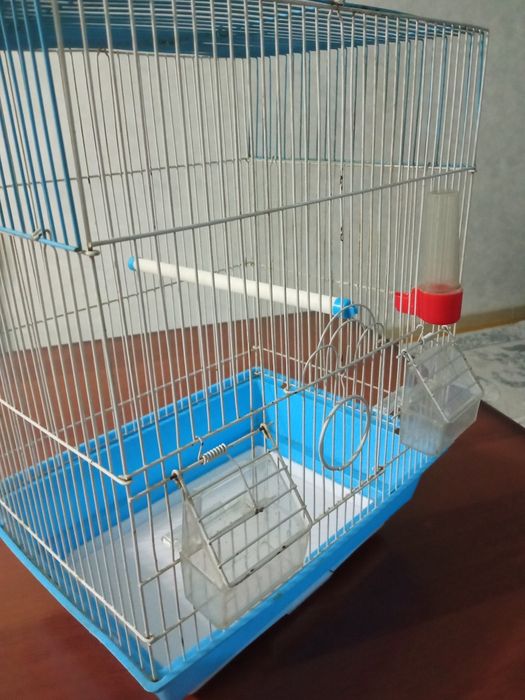 Катта хиттой кафас сотилади.