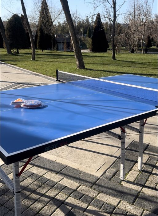 Настольный теннис (В рассрочку)