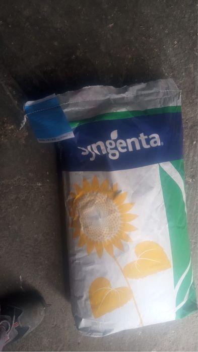 Samanta Floare si porumb 2026