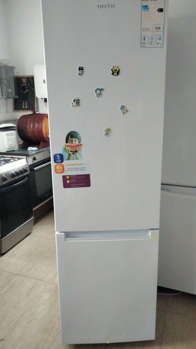 Electromotor frigider