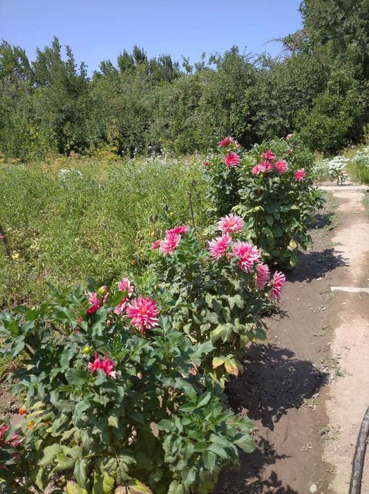 Продается дача срочно