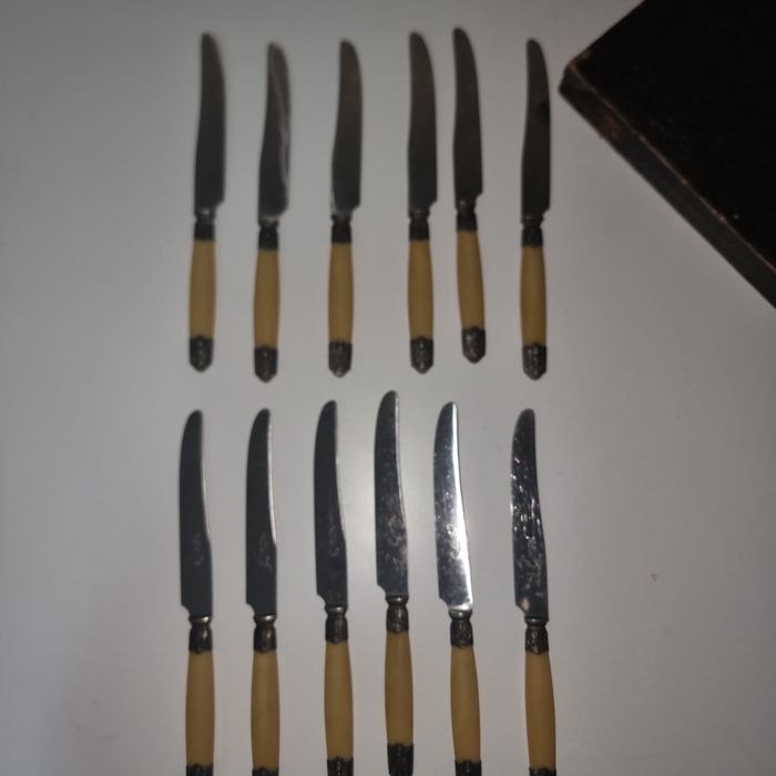 Set vintage cutite H Koopmann Solingen Germania