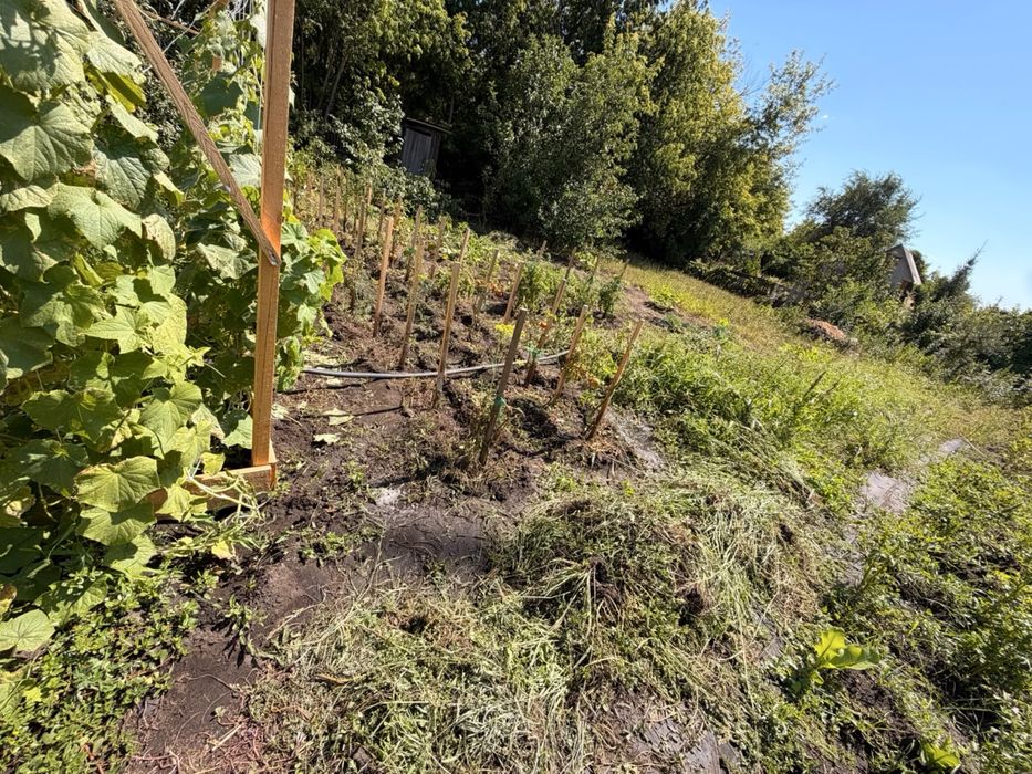 Продам  дачу 17 общество