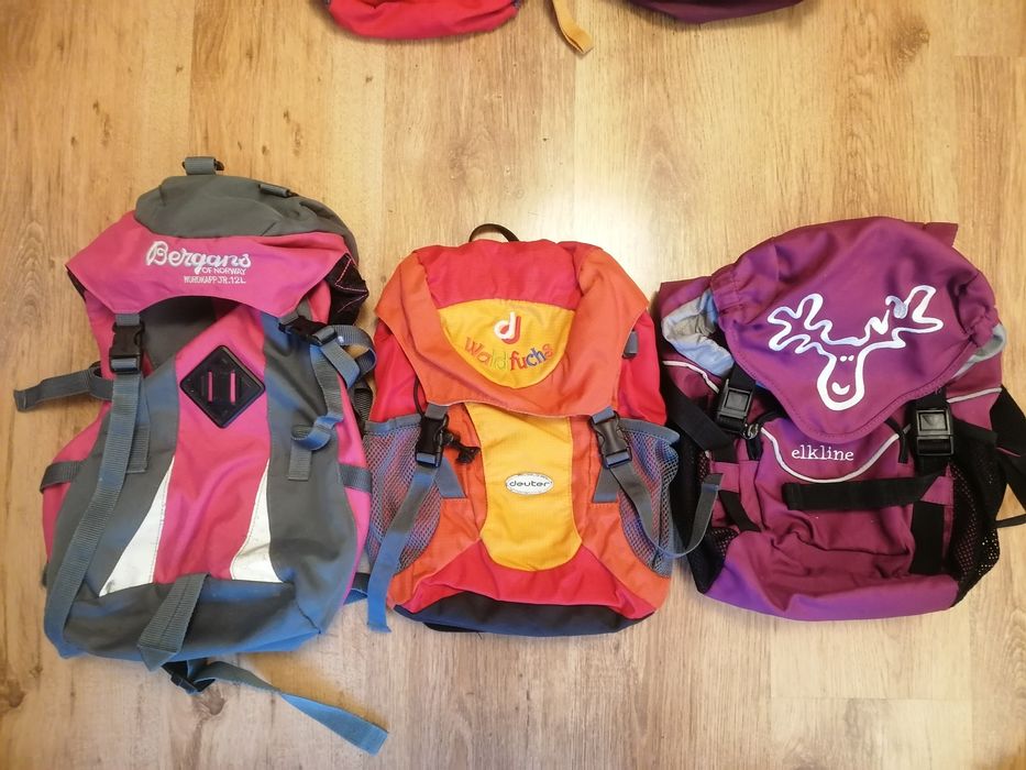 Rucsac backpack Vaude Everest Elk north face