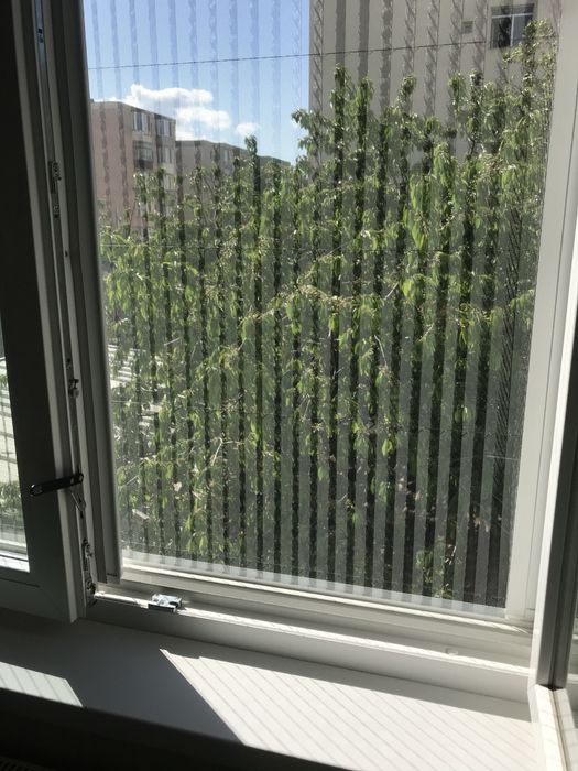 Termopane plase de insecte