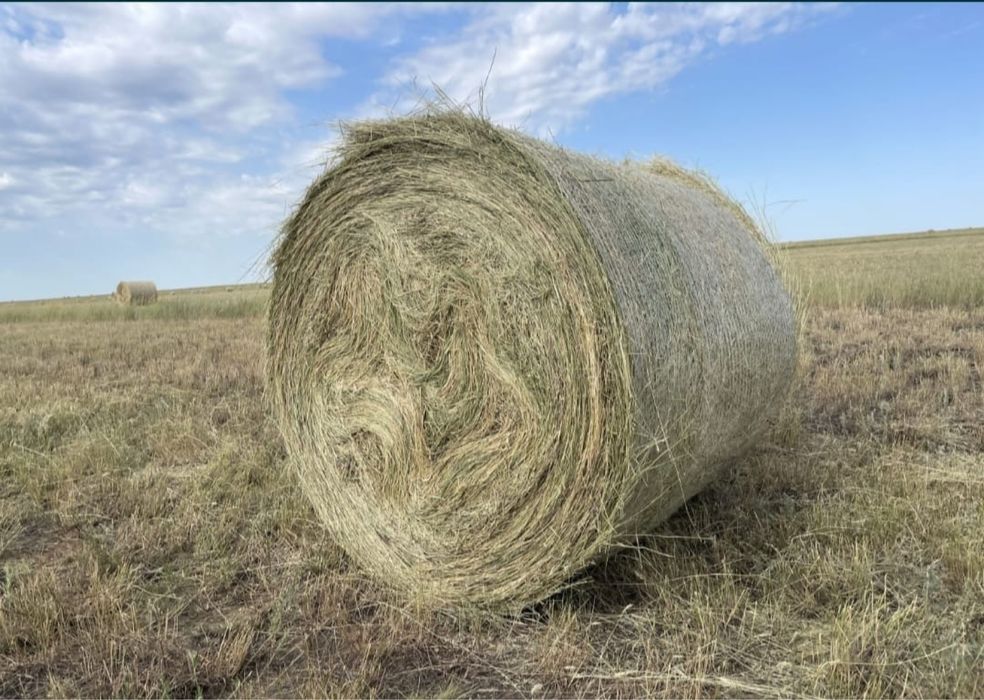 Продаётся качественное, сухое сено в тюках.