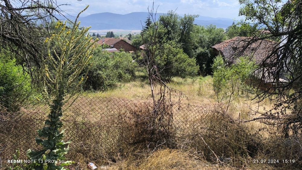 Продава се Парцел в с. Рельово, Област София-област - 823 кв.м за 50 €/кв.м - Снимка #2