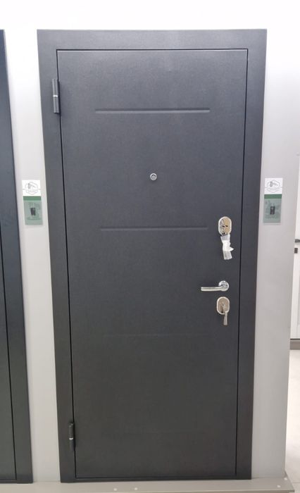 Входные (металлические) двери