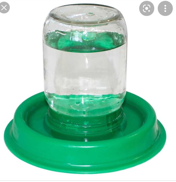 Жужалар учун поилька