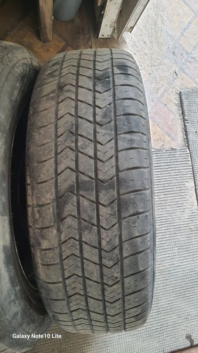 Шина 13 лик доноси 100000 сум