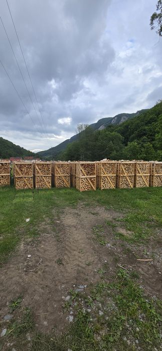 Sc. Vinde lemn de foc fag paletizat.
