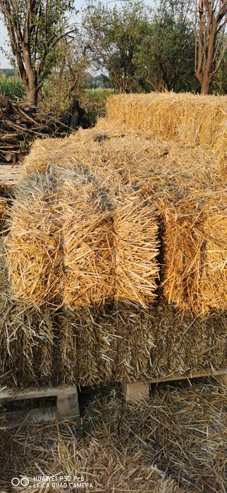 Vând baloti de paie