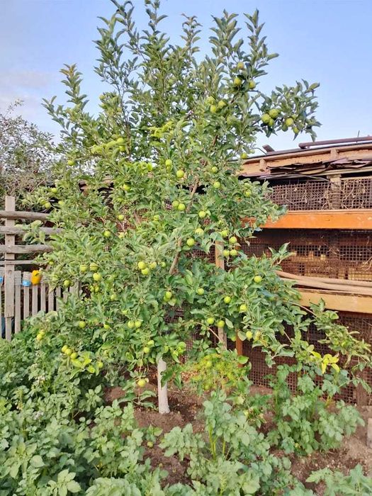 Продам коттедж на 91 кв