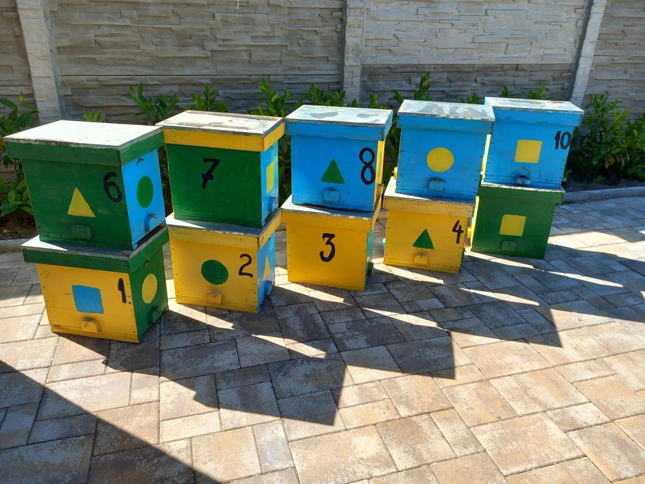 Lăzi de stupi si nuclee de imperechere de  vanzare