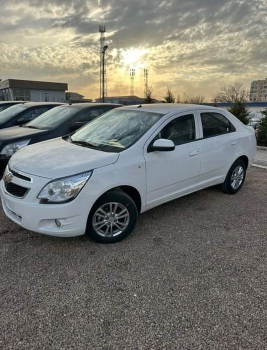 Mcm new 2026 model salondan nomizga