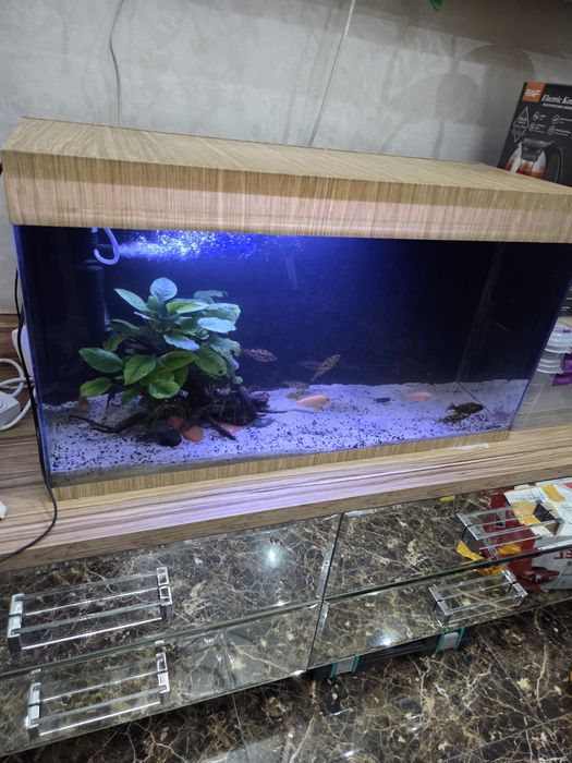 Ремонт и обслуживание аквариума