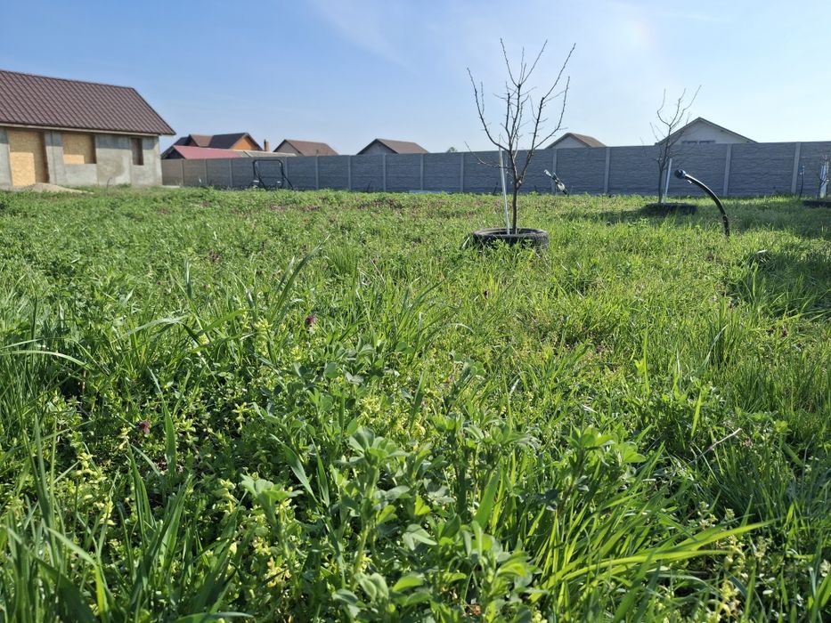 Vand  teren ingradit pentru casa 703 mp