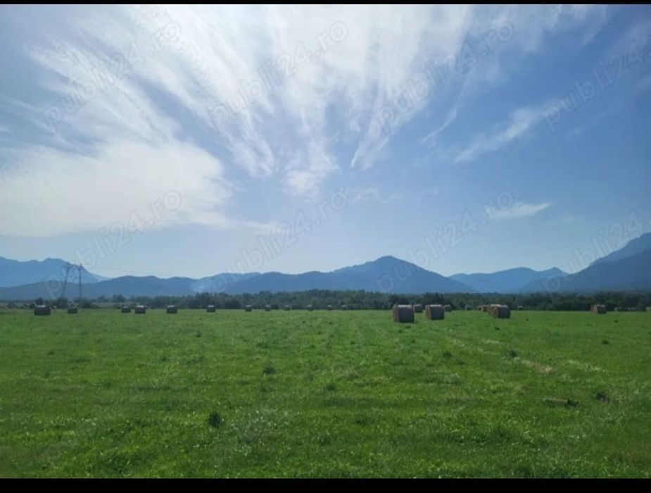 Teren de vânzare extravilan