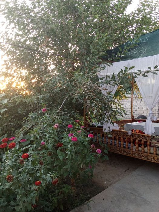 Uchastka hovli sotiladi