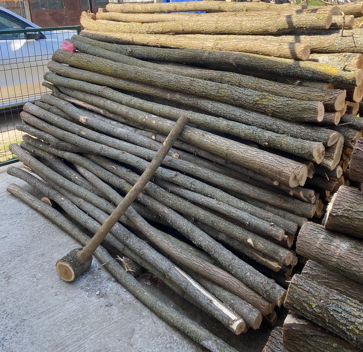 Pari salcåm, 2,5 m lungime