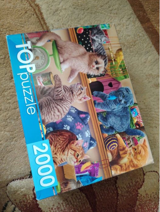 пазл с котятами 2000 деталей