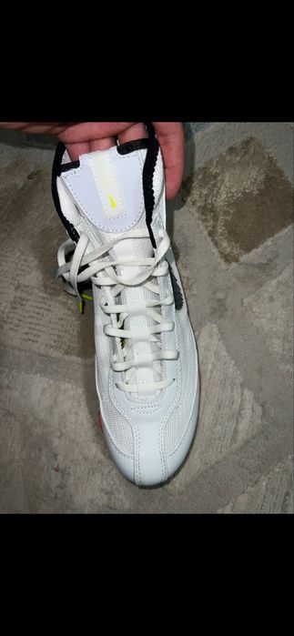 продам боксеркий