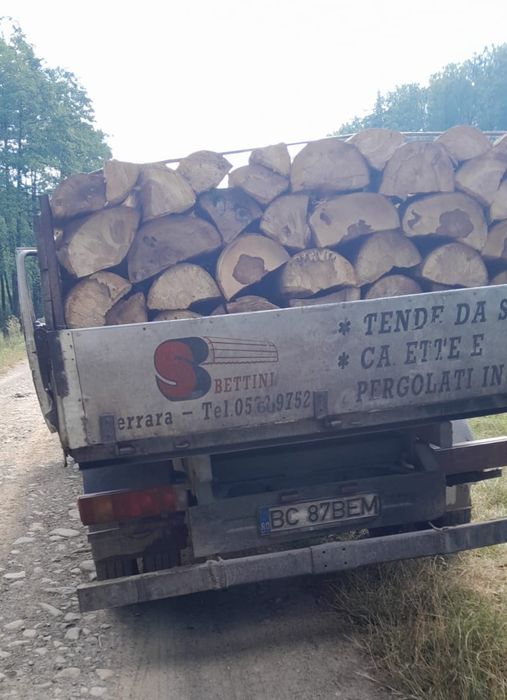 Lemne de foc fag