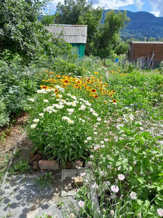 Продам дачу на Ульбастрре