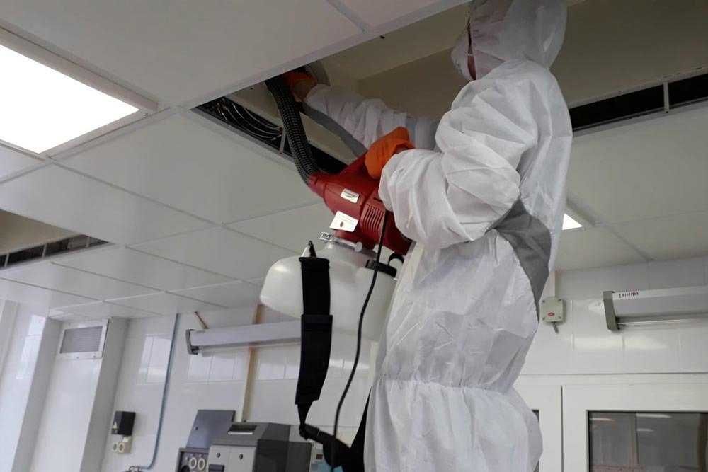 Dezinfeksiya xizmati klop tarakan pasha chivin