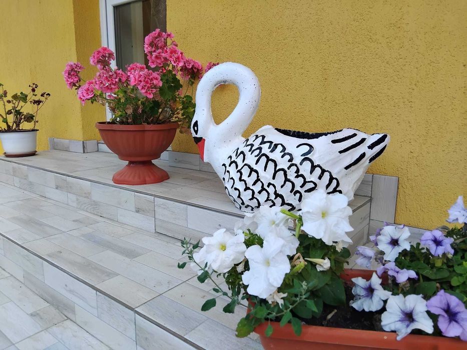 Vand decor ghiveci lebada