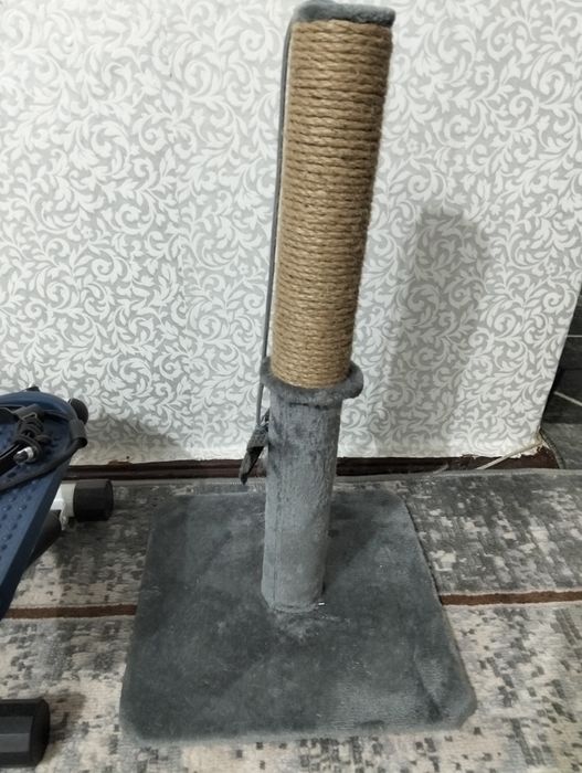 Срочно отдам кота в добрые хорошие руки