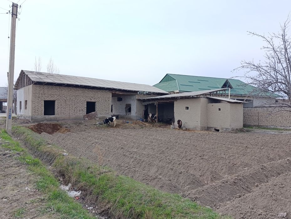 Katta Hovli sotiladi 17 sotix