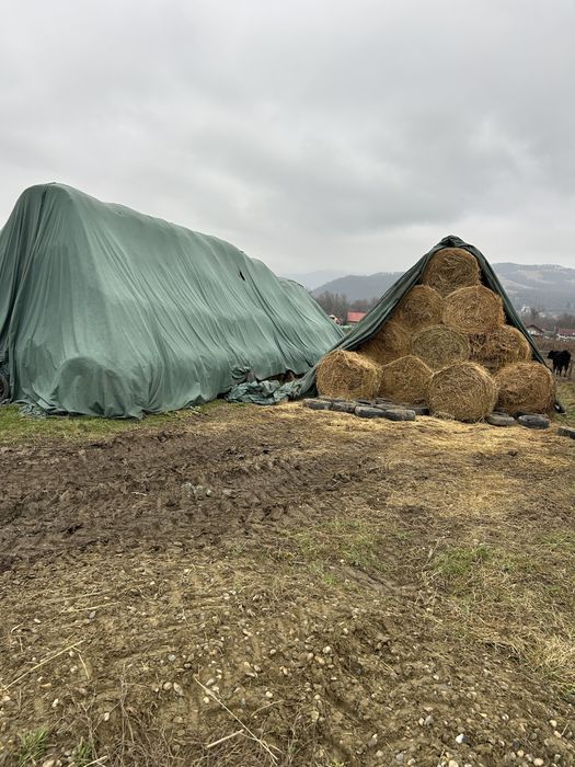 Vand baloti lucerna rotunzi