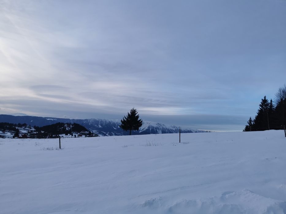 Cabane  A Frame  / Munte / Fundata Brașov / Zapada  ***