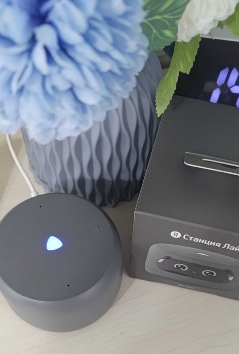 Яндекс Станция Лайт 2 Серая