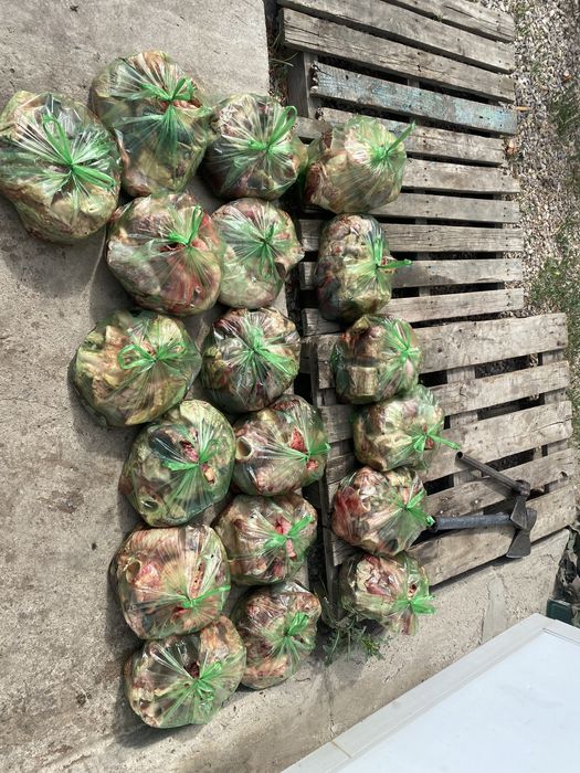 Мясо,Корм для собак