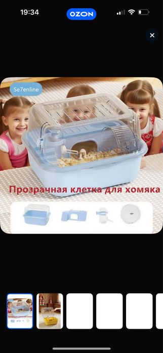 Продам сирийского хомякв
