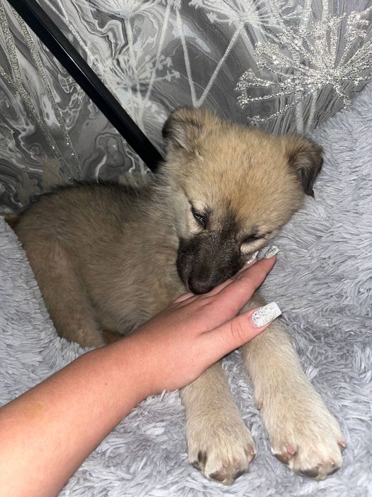 Мальчишка ищет семью!