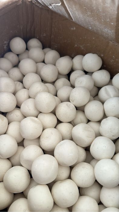 Құрт,Ірімшік,қаймақ,сары май,рафаэлло