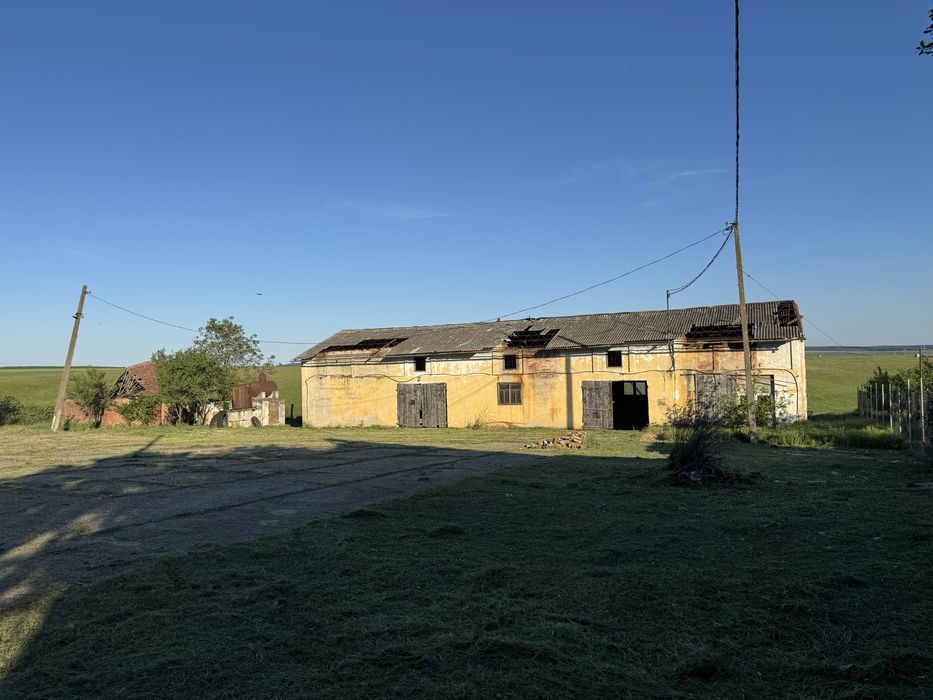 Intravilan com Mașloc jud Timis