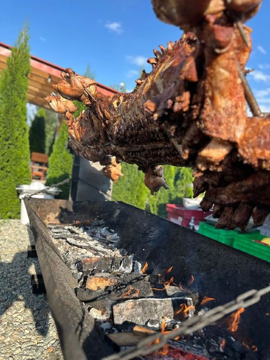 Pet Friendly / Cabana Casa Dia / Sadu