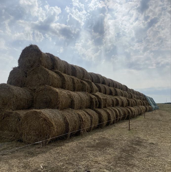 Baloti paie rotunzi 140/120