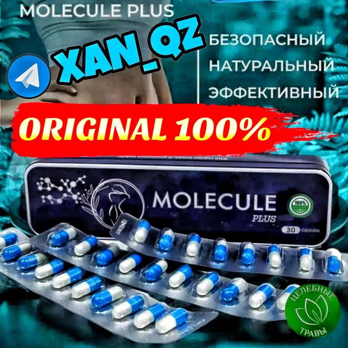 Оригинал Молекула Плюс инновационный органайзер