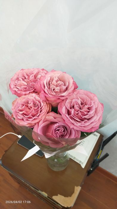 Продам цветы розы.