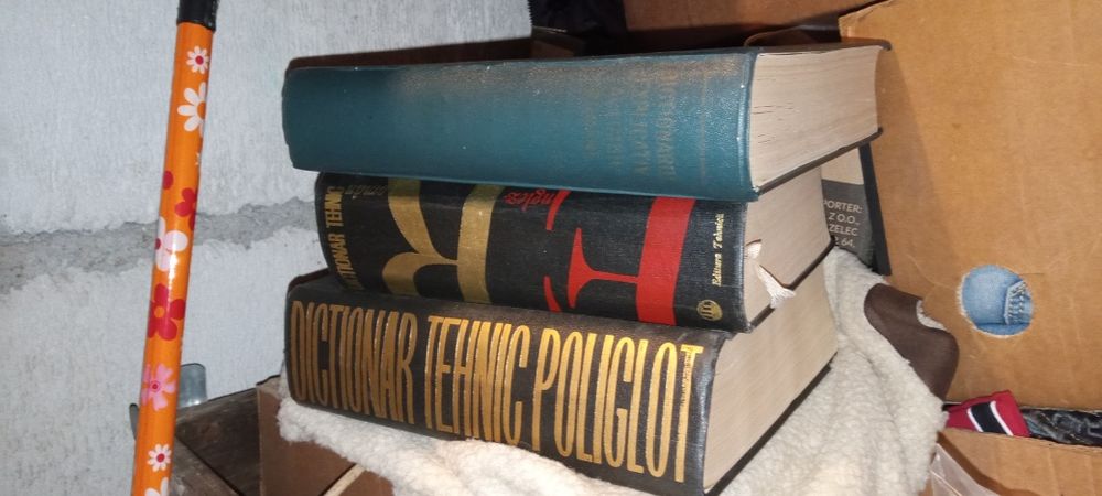 Cărți dicționar român-englez