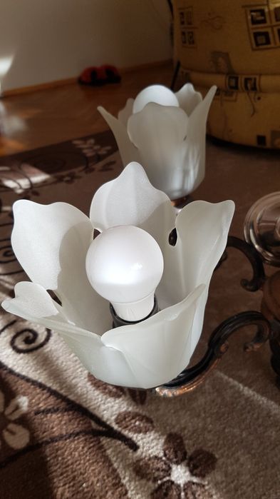 Полилей - ковано желязо